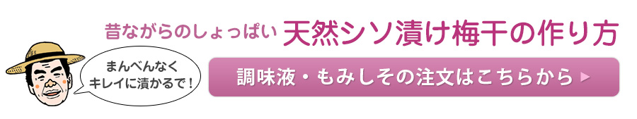 天然シソ漬け梅干しの作り方・レシピ