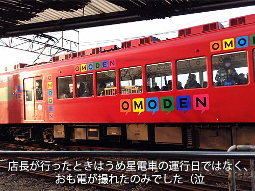 うめ星電車×紀州梅苑「うめ星電車ご縁梅干（はちみつ梅）」2個入袋