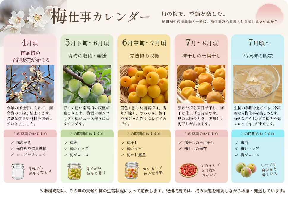 梅仕事カレンダー：旬の梅で、季節を楽しむ。紀州梅苑の南高梅と一緒に、梅仕事のある暮らしを楽しみませんか？