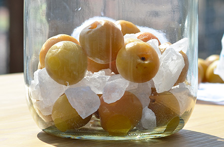 氷砂糖の上に冷凍梅をのせ、梅と砂糖を交互に敷き詰めていきます